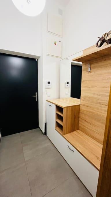 Holesovice, Garden, Garage Appartement